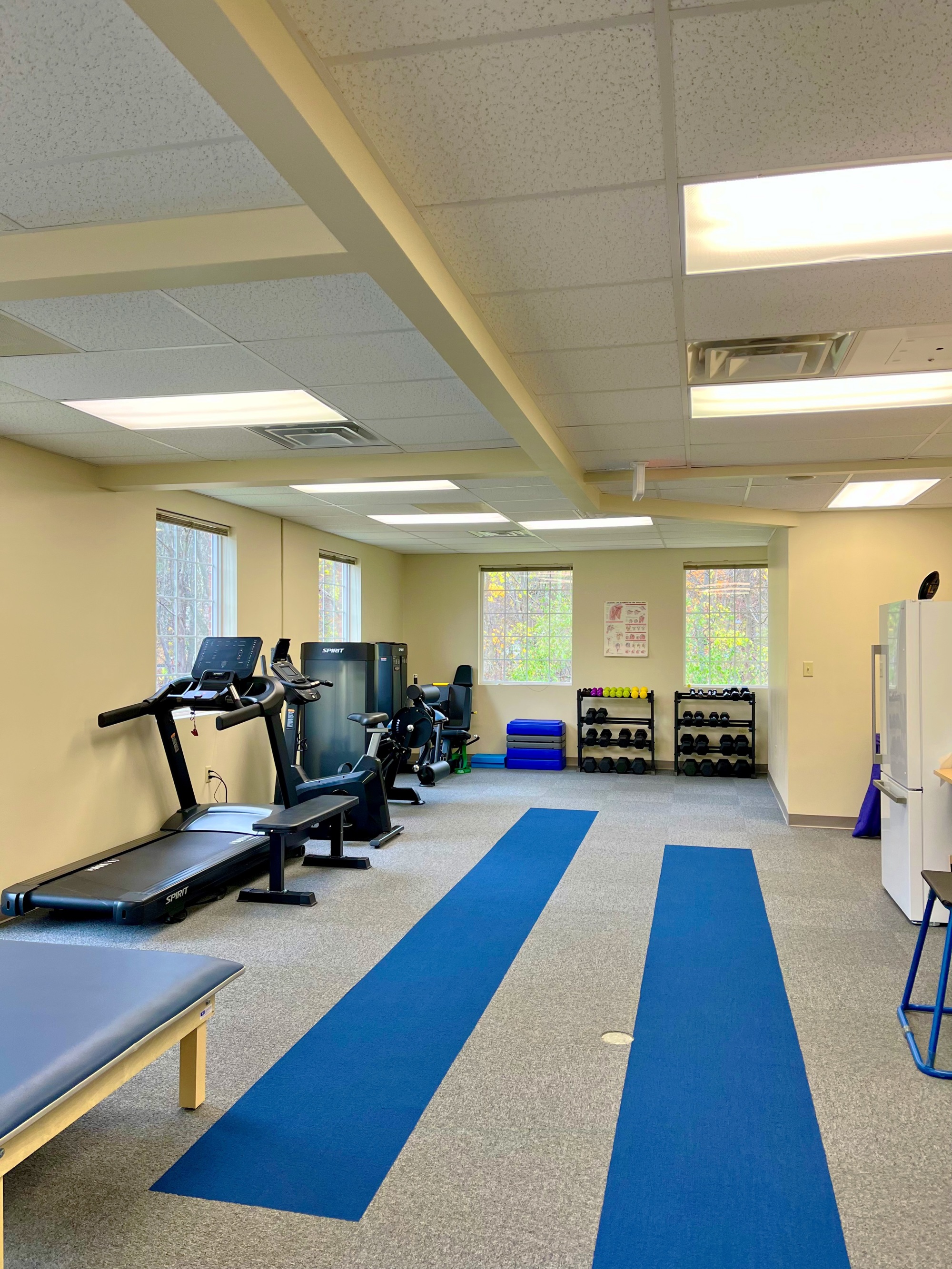Bright physical therapy practice with treadmill, treatment table, and exercise equipment after a Sandy Cares cleaning.